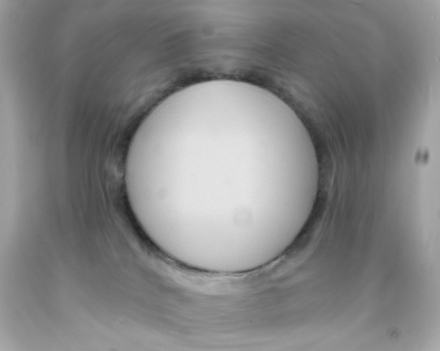 X0000093130040200710241331