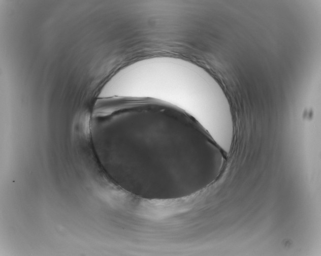 X0000093130041200710241331