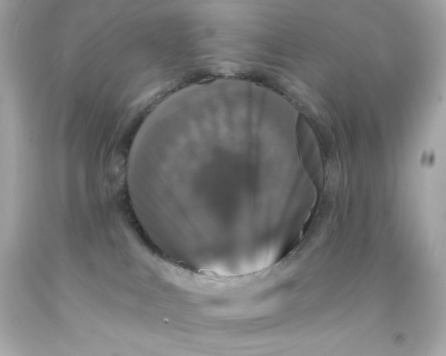 X0000093130043200710241331