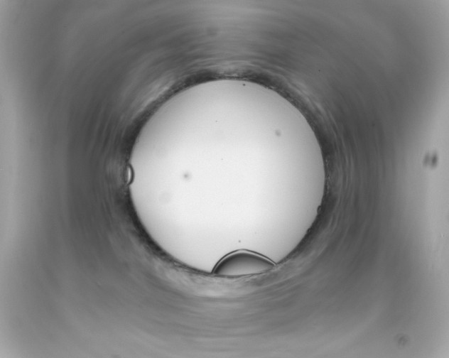 X0000093130044200710241331