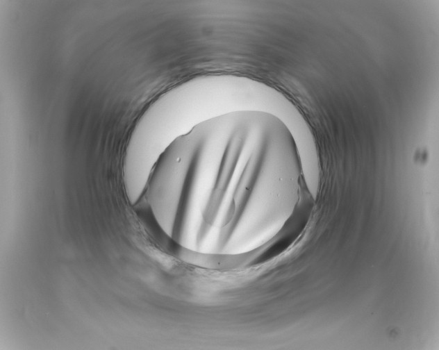 X0000093130045200710241331