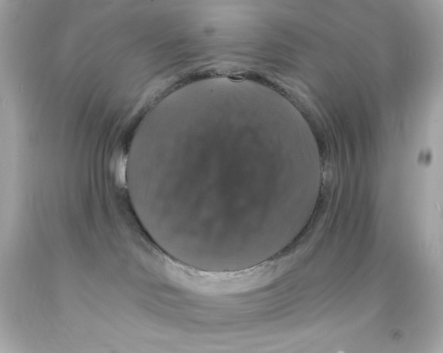 X0000093130046200710241331