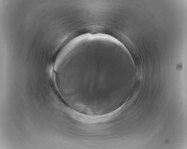 X0000093130047200710241331