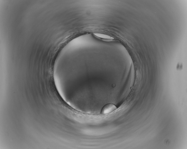 X0000093130048200710241331