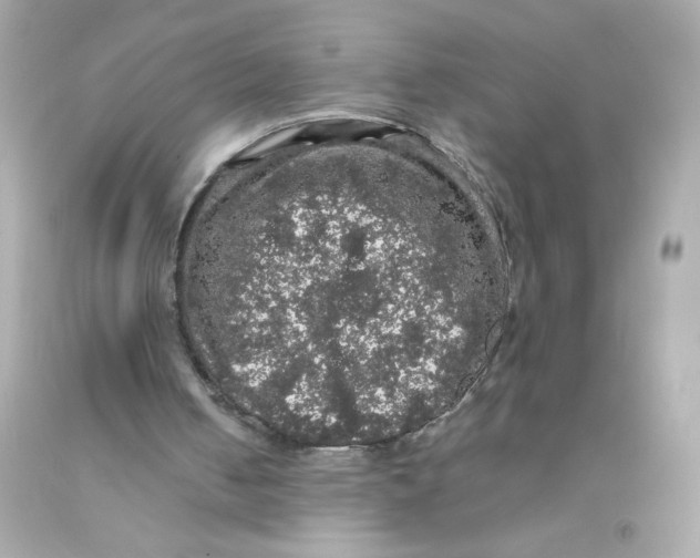 X0000093130050200710241330