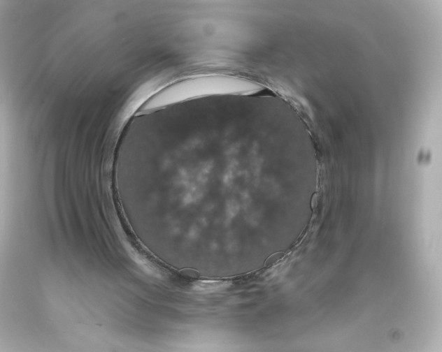 X0000093130051200710241330