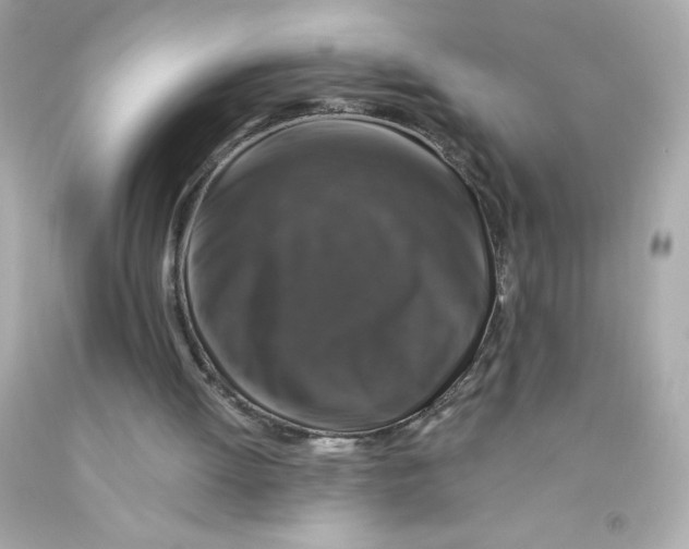 X0000093130052200710241330
