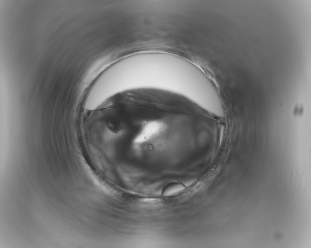 X0000093130053200710241330