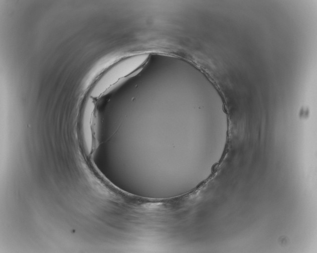 X0000093130054200710241330