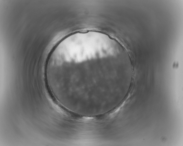 X0000093130055200710241330