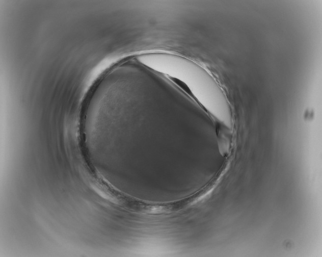 X0000093130056200710241330