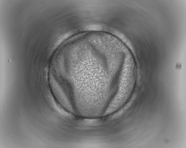 X0000093130057200710241330