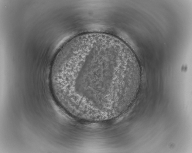 X0000093130058200710241330