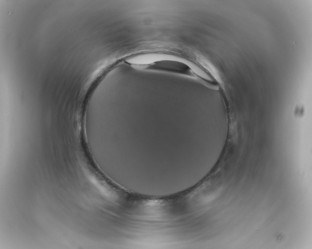 X0000093130059200710241330