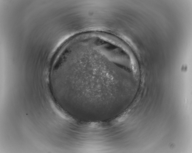 X0000093130060200710241330