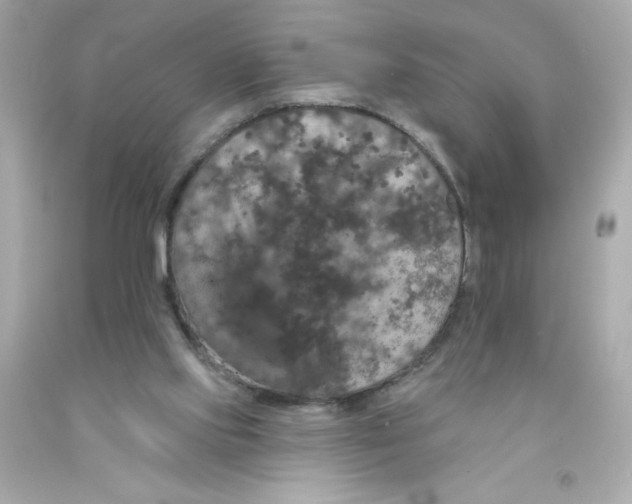 X0000093130061200710241330