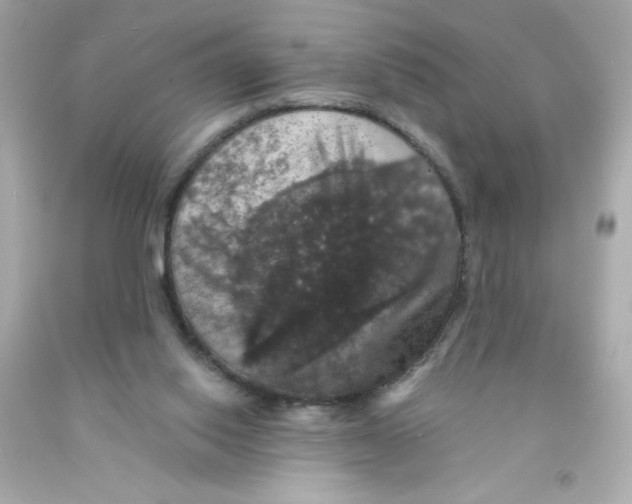 X0000093130062200710241331