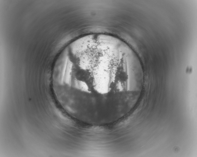 X0000093130063200710241331