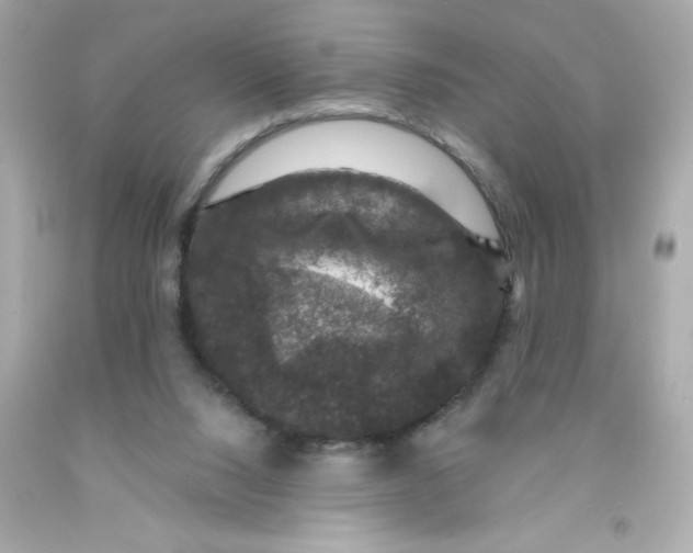 X0000093130064200710241331