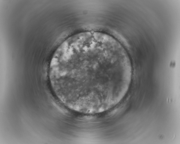 X0000093130065200710241331
