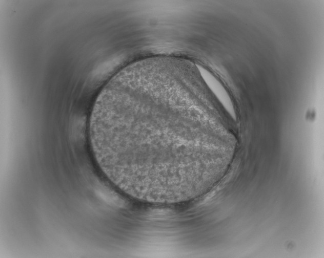 X0000093130066200710241331
