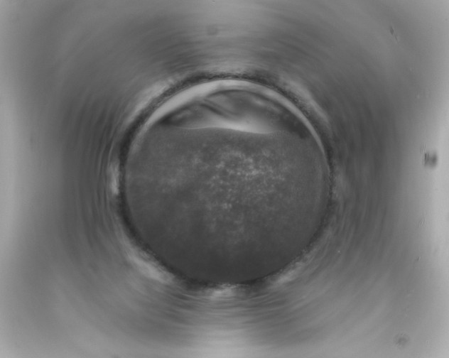 X0000093130068200710241331