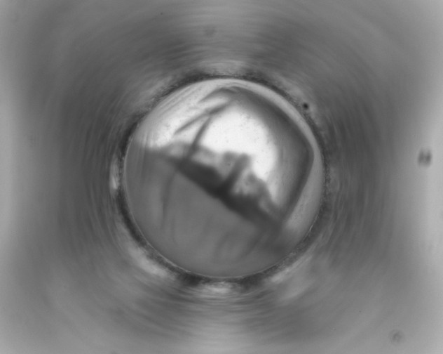 X0000093130069200710241331