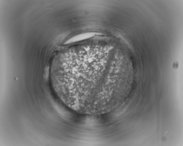 X0000093130070200710241331
