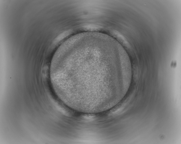 X0000093130071200710241331