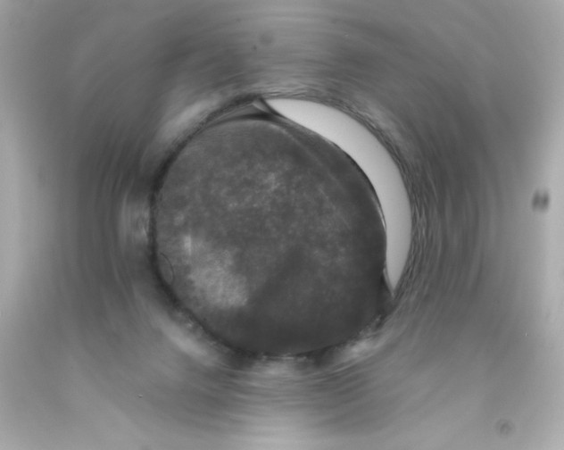 X0000093130072200710241331