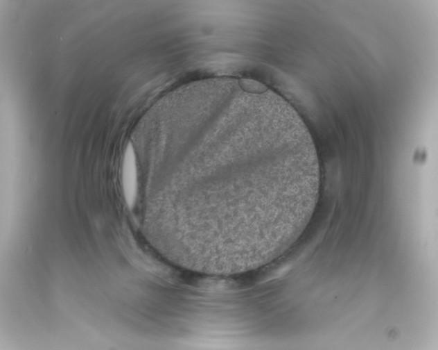 X0000093130073200710241331