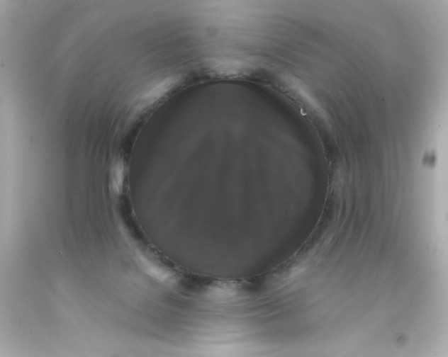 X0000093130076200710241331