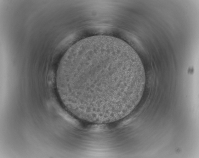 X0000093130077200710241331