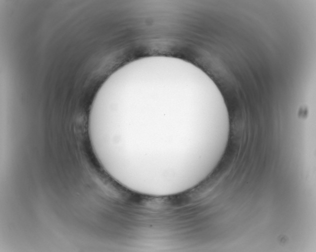 X0000093130079200710241331