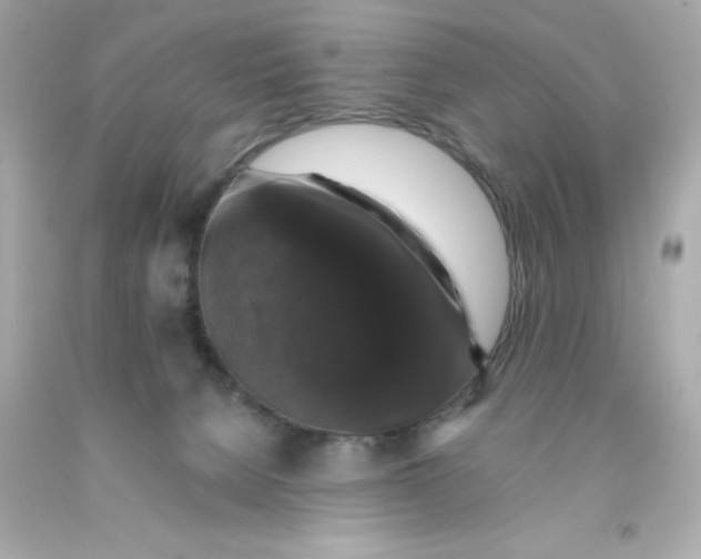 X0000093130080200710241331