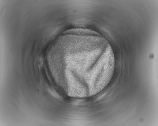 X0000093130081200710241331