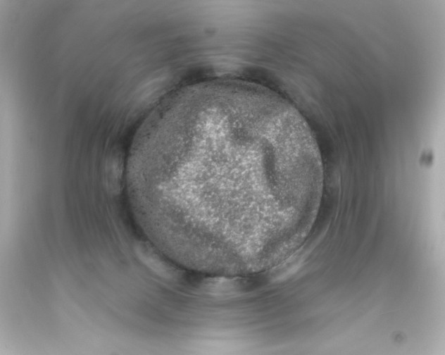 X0000093130082200710241331