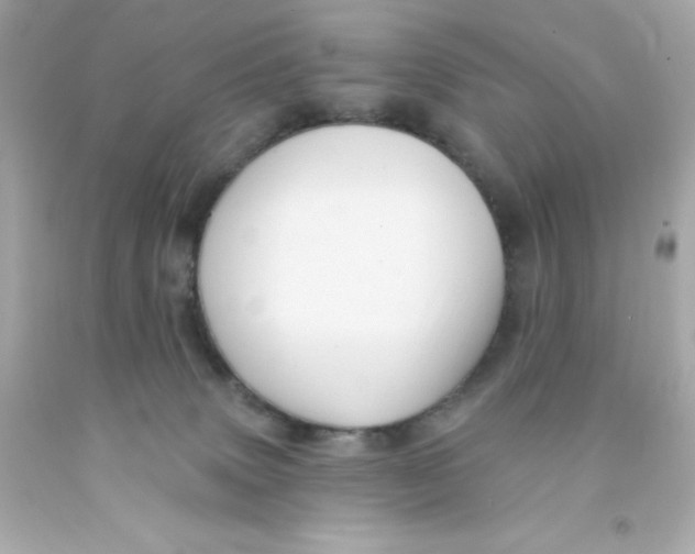 X0000093130083200710241331