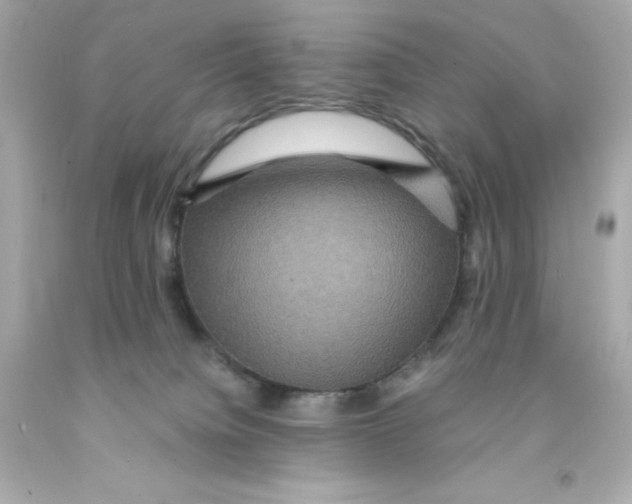 X0000093130084200710241331