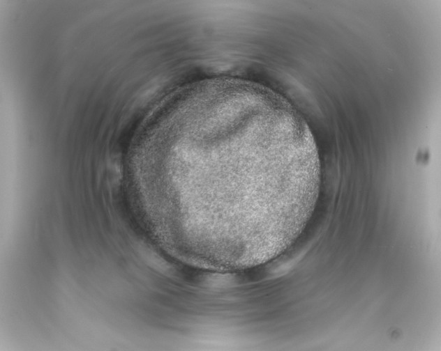 X0000093130085200710241331