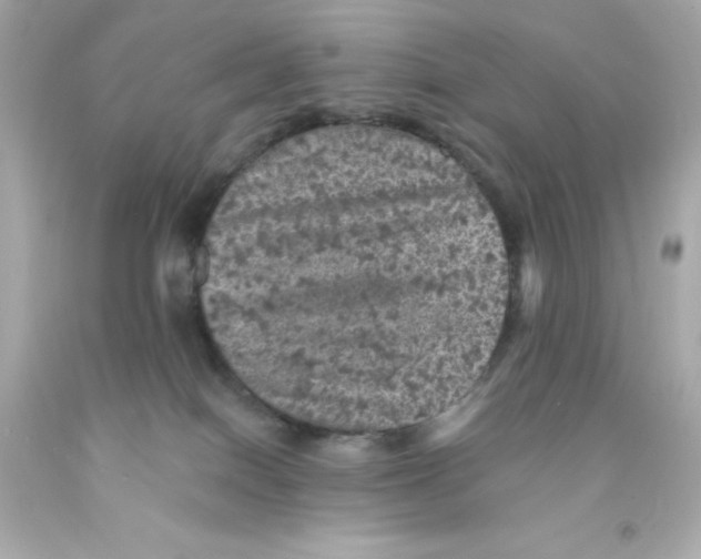 X0000093130086200710241331