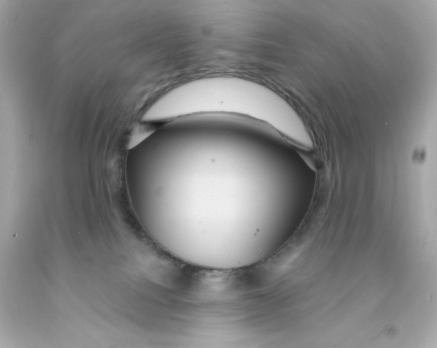 X0000093130088200710241331