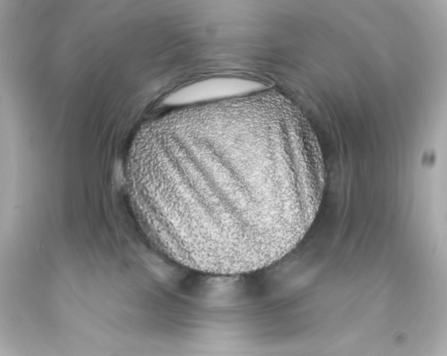X0000093130089200710241331