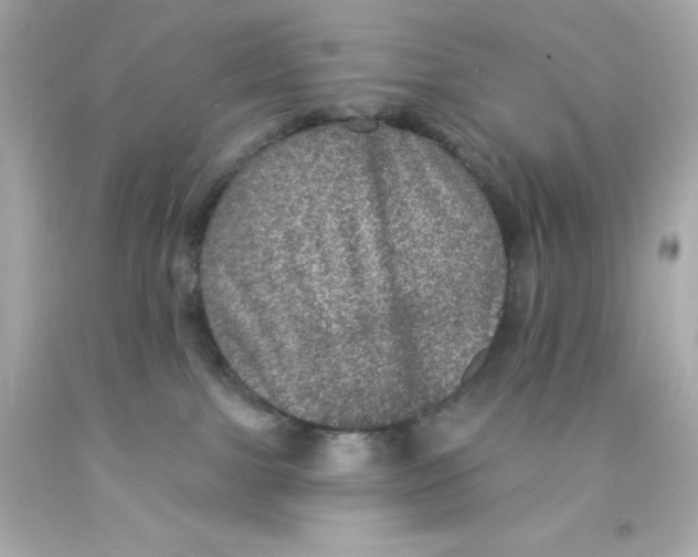 X0000093130091200710241331