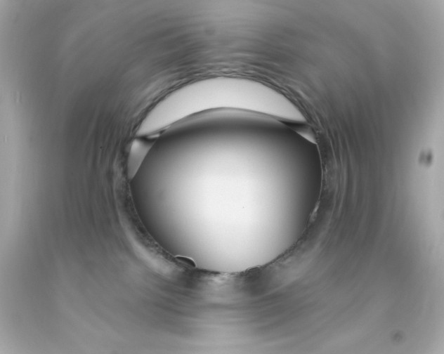X0000093130092200710241331