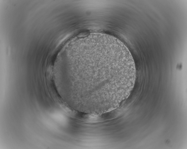 X0000093130093200710241331
