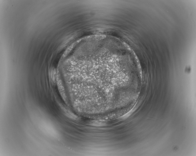 X0000093130094200710241331