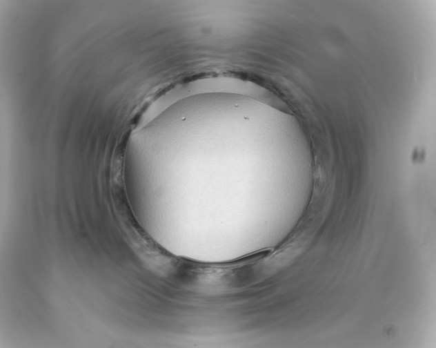 X0000093130096200710241331
