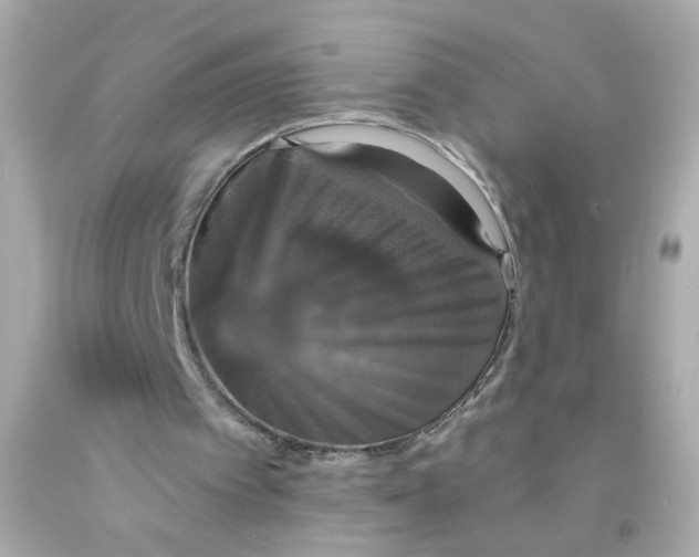 X0000093130097200710241330