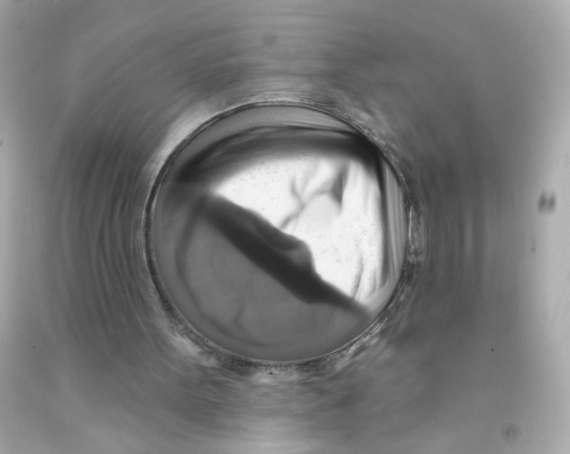 X0000093130099200710241330